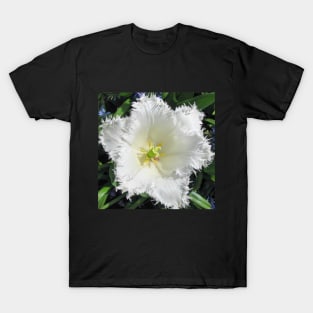 White Fringed Tulip T-Shirt